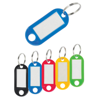 Porte-clés en plastique OP568 | O-Max