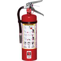 Extincteur d'incendie, ABC, Capacité 5 lb SED109 | O-Max